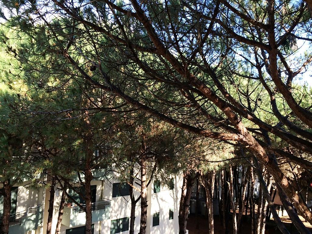 Golem Apartments Oda fotoğraf